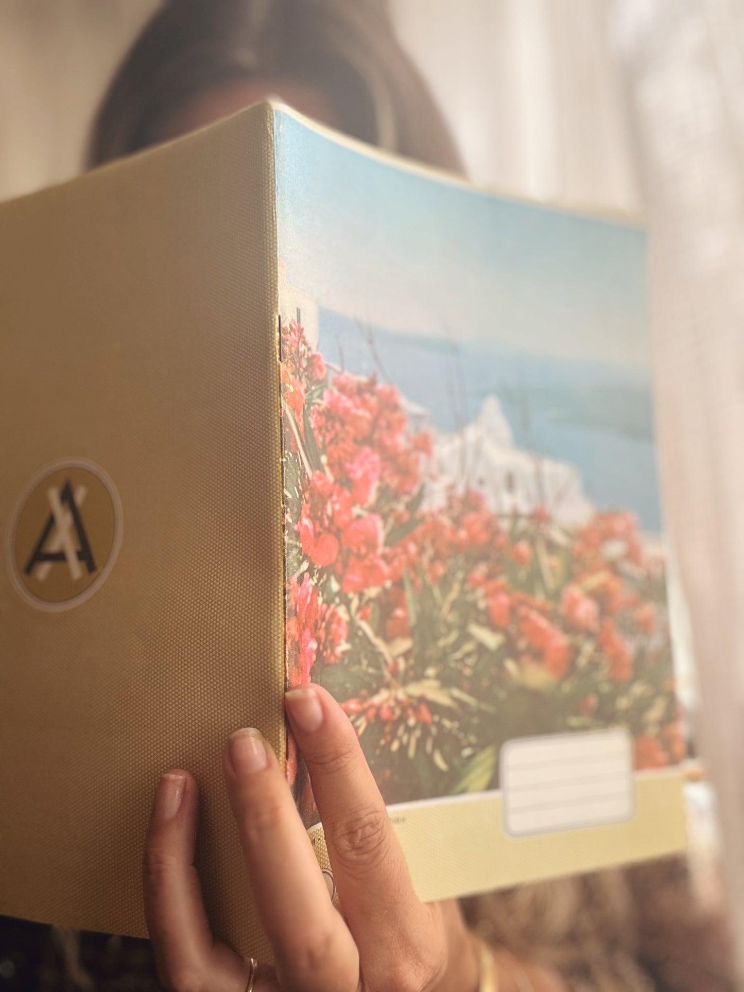 1950s Vintage Greek Notebooks