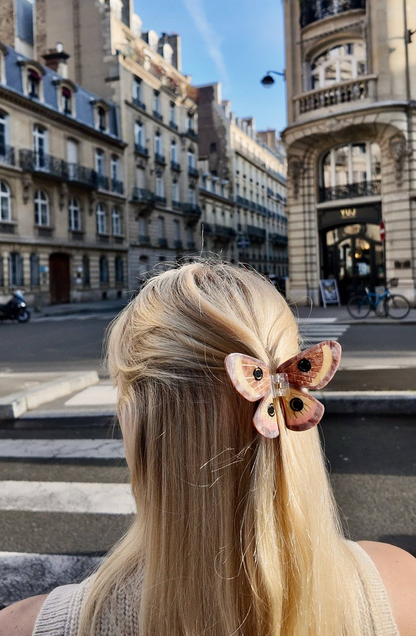 Solar Eclipse - Hand-painted Emperor Silk Moth Claw Hair Clip | Eco-Friendly: Brown