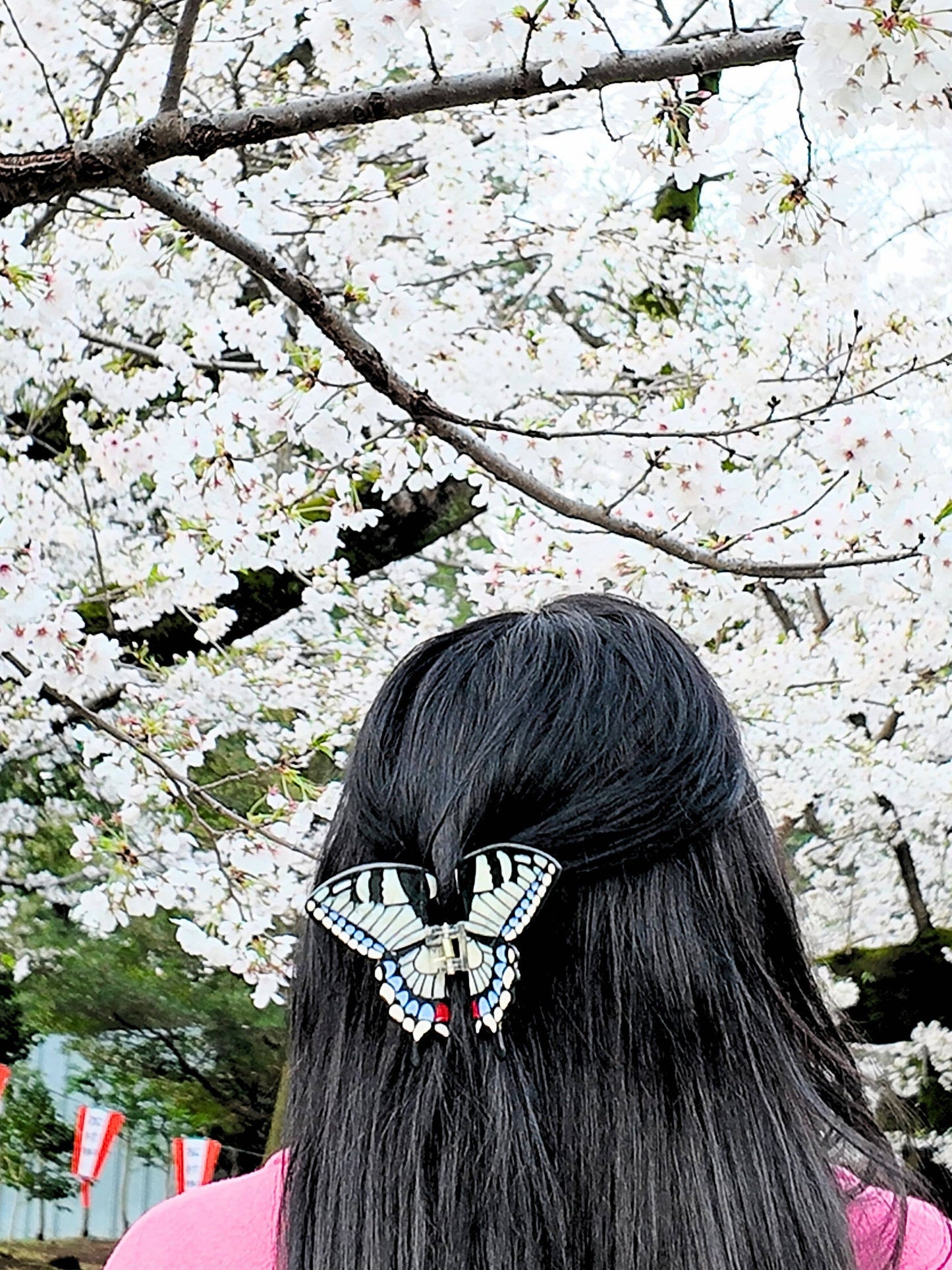 Solar Eclipse - Hand-painted Swallowtail Butterfly Claw Hair Clip: Brown
