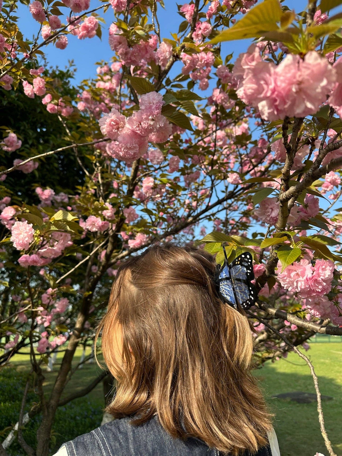 Solar Eclipse - Hand-painted Monarch Butterfly Claw Hair Clip | Eco-Friendly: Orange