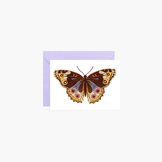 Botanica Paper Co. - BUTTERFLY | mini card