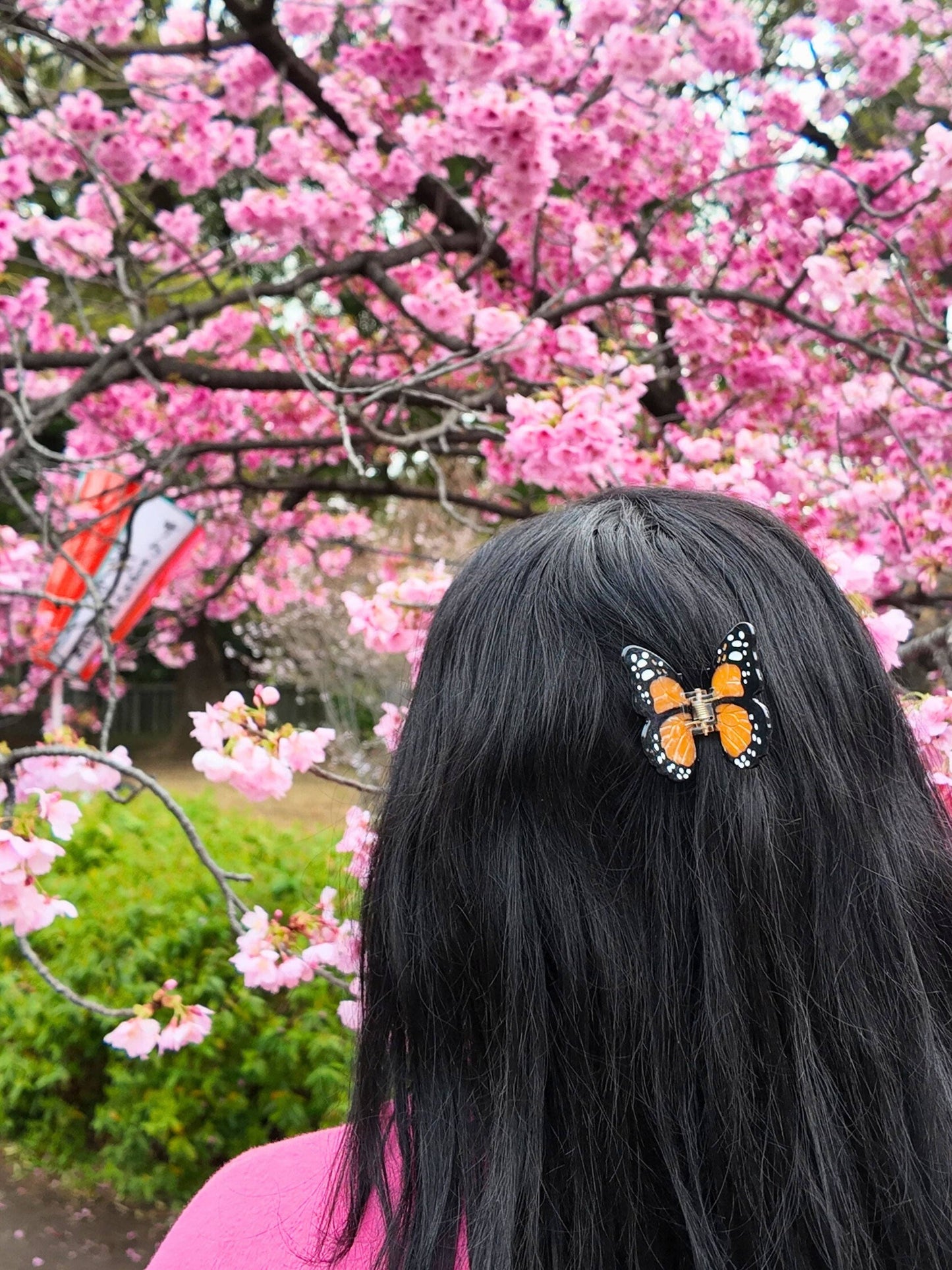 Solar Eclipse - Hand-painted Mini Monarch Butterfly Claw Hair Clip | Eco-Friendly: Orange