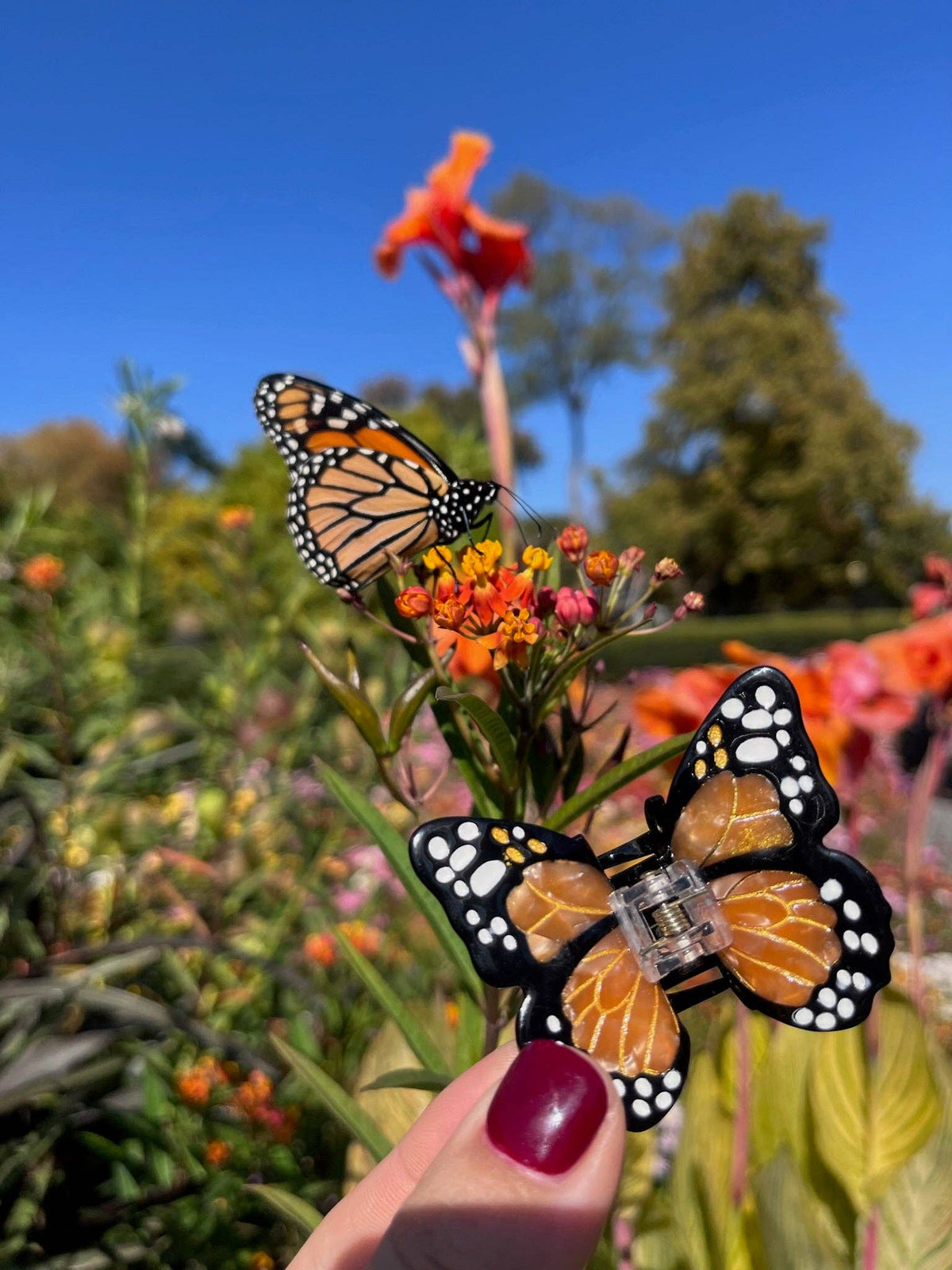 Solar Eclipse - Hand-painted Mini Monarch Butterfly Claw Hair Clip | Eco-Friendly: Orange