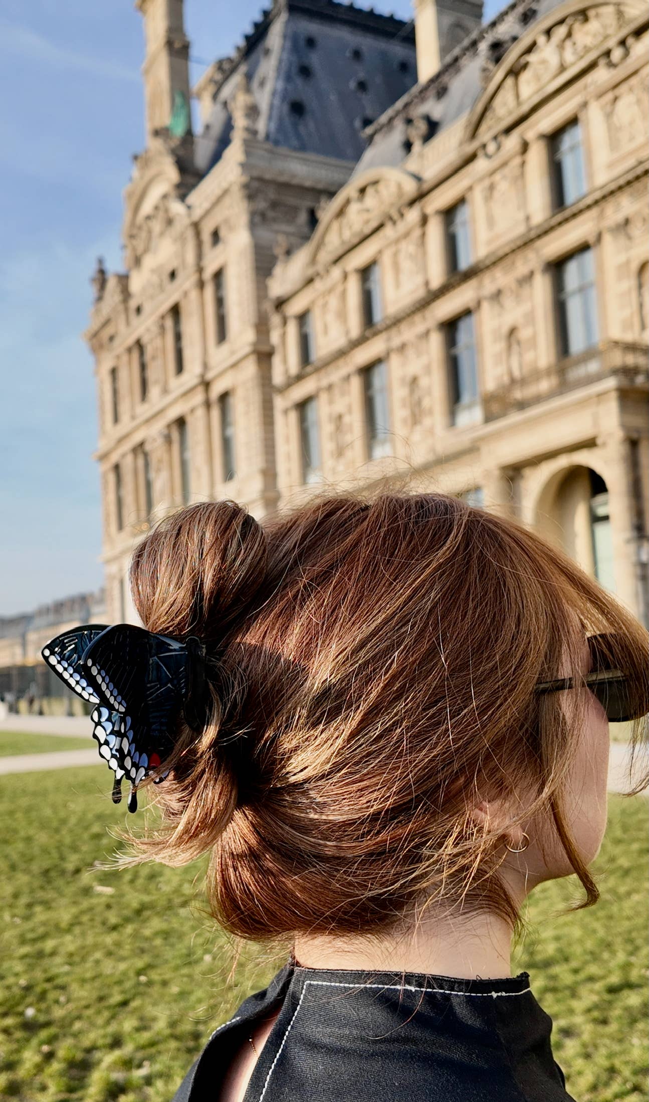 Solar Eclipse - Hand-painted Swallowtail Butterfly Claw Hair Clip: Brown