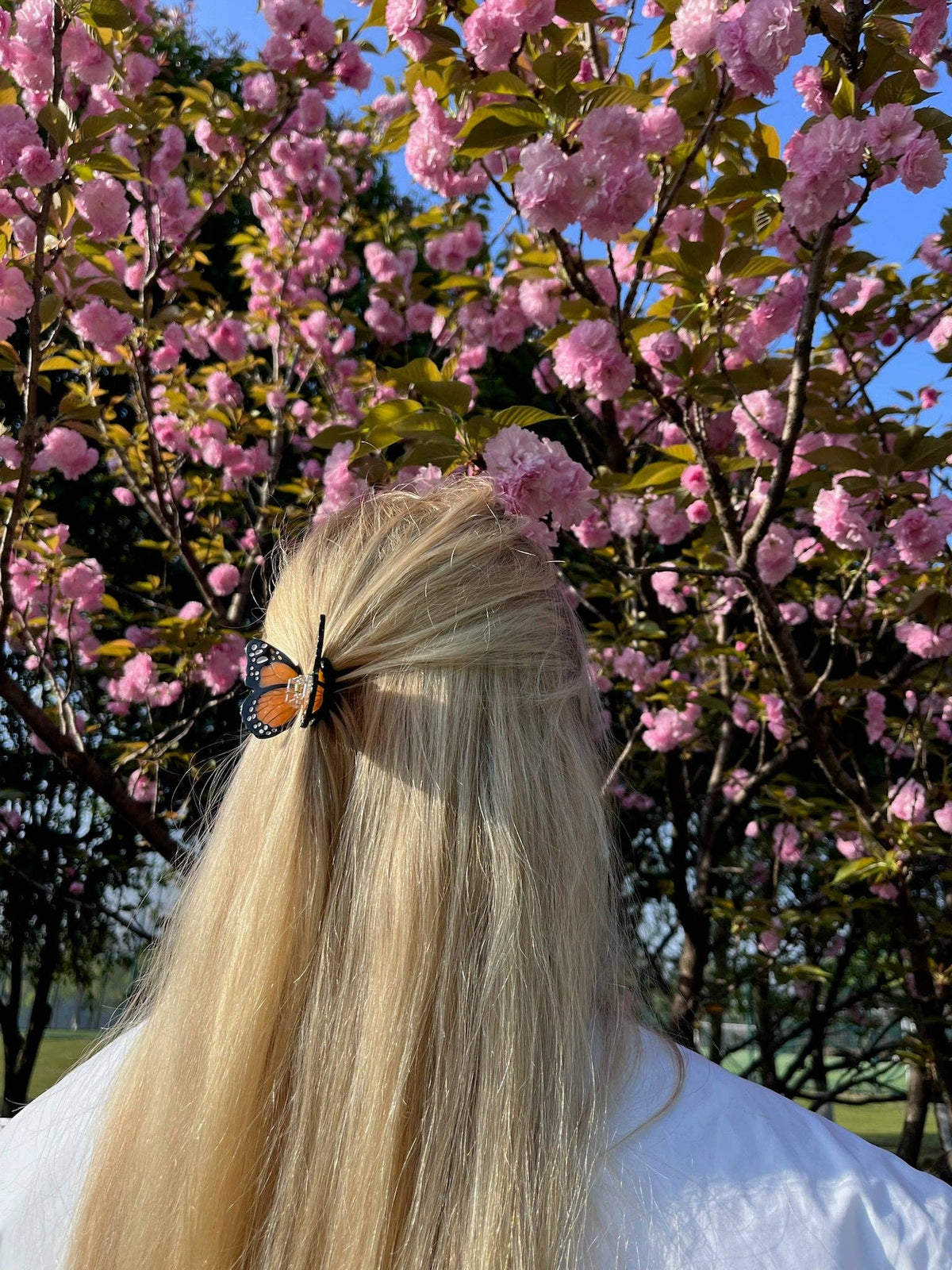 Solar Eclipse - Hand-painted Mini Monarch Butterfly Claw Hair Clip | Eco-Friendly: Orange