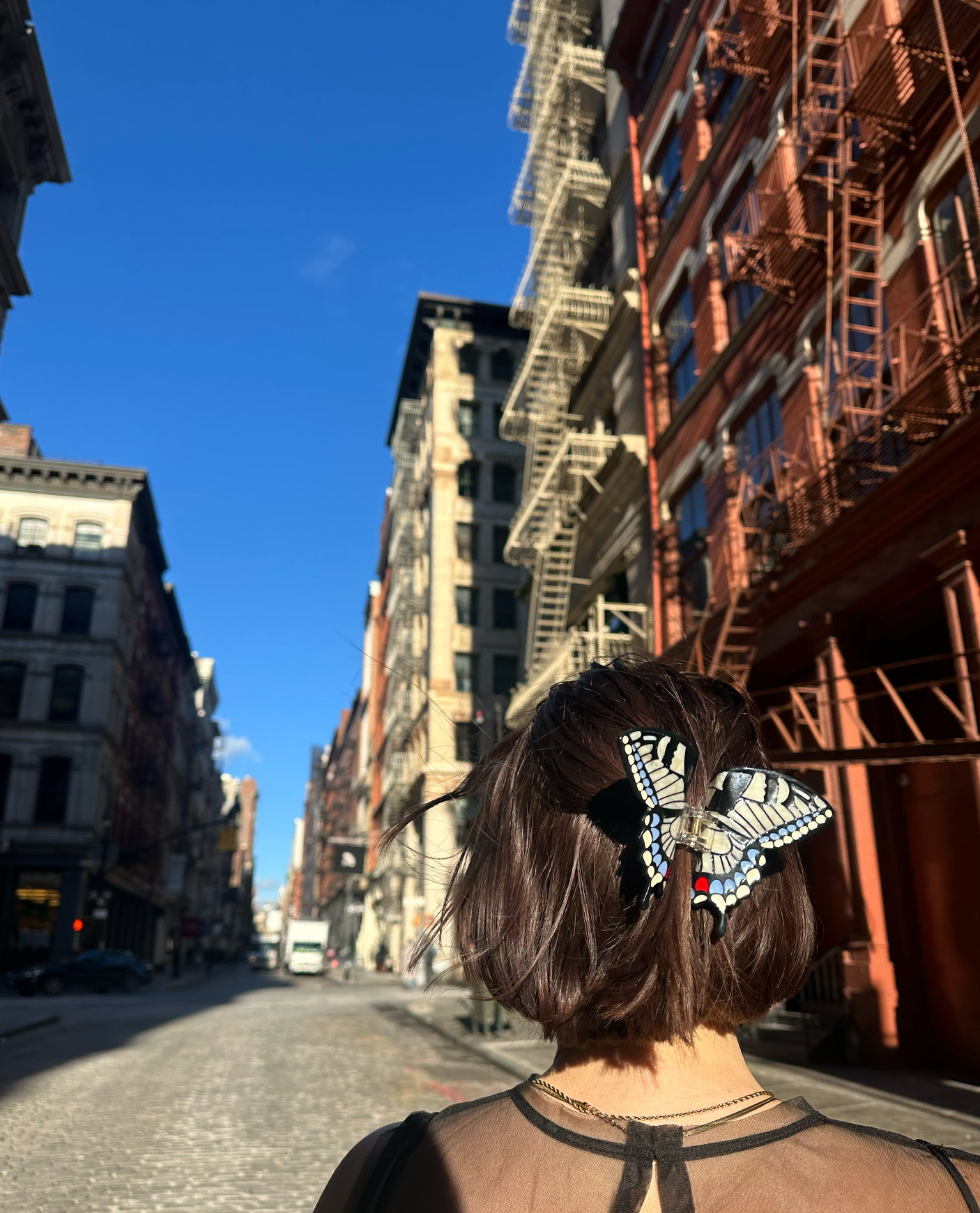 Solar Eclipse - Hand-painted Swallowtail Butterfly Claw Hair Clip: Brown