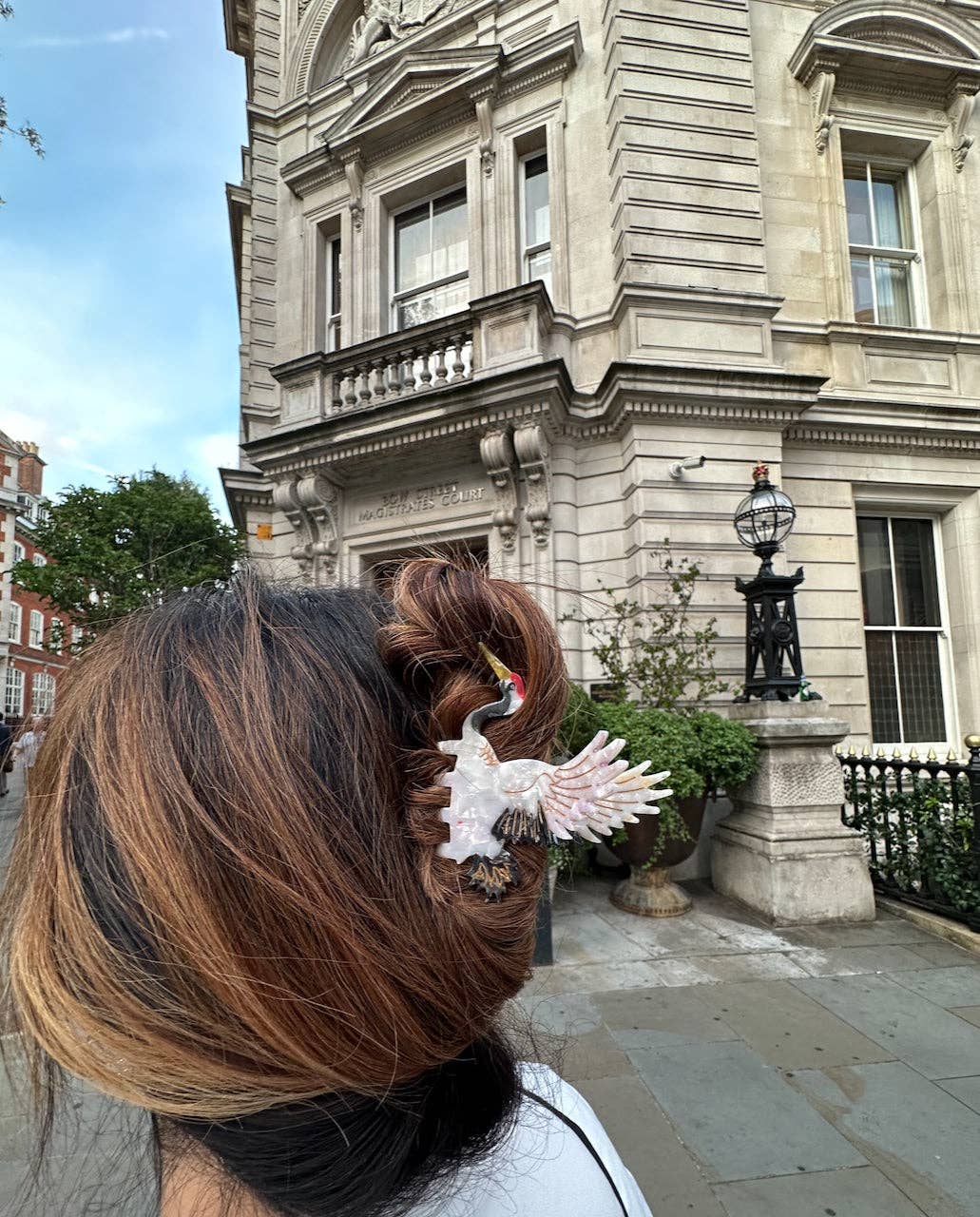 Solar Eclipse - Hand-painted Crane Bird Claw Hair Clip | Eco-Friendly