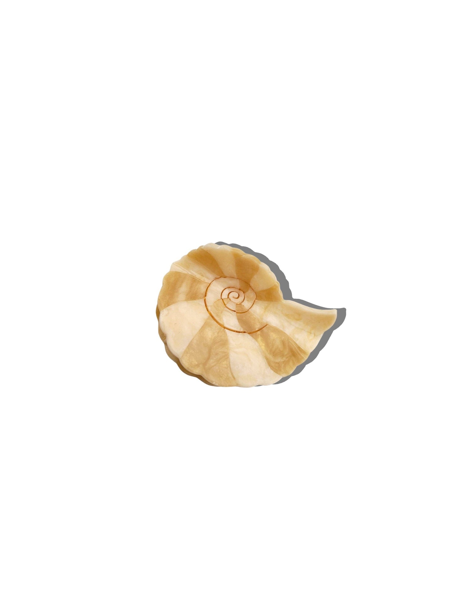Solar Eclipse - Hand-painted Spiral Shell Claw Hair Clip | Eco-Friendly
