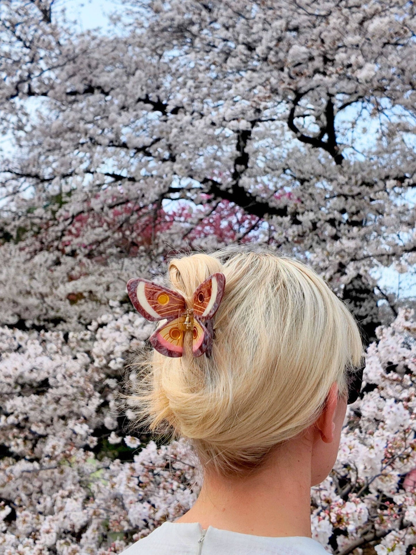 Solar Eclipse - Hand-painted Emperor Silk Moth Claw Hair Clip | Eco-Friendly: Brown